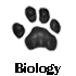  Biology 