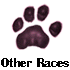  Other Races 