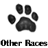 Other Races 