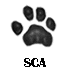  SCA 
